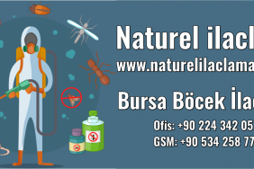 Bursa Böcek İlaçlama