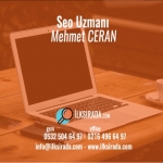 Seo Uzmanı