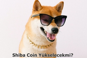 Shiba Coin Yükselecekmi?