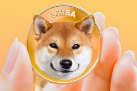 Shiba Topluluğunda Tepkiler Büyüyor