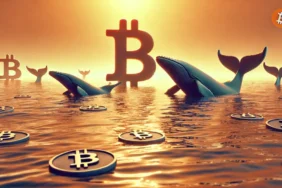 Kripto Para Piyasasında Balina Hareketleri
